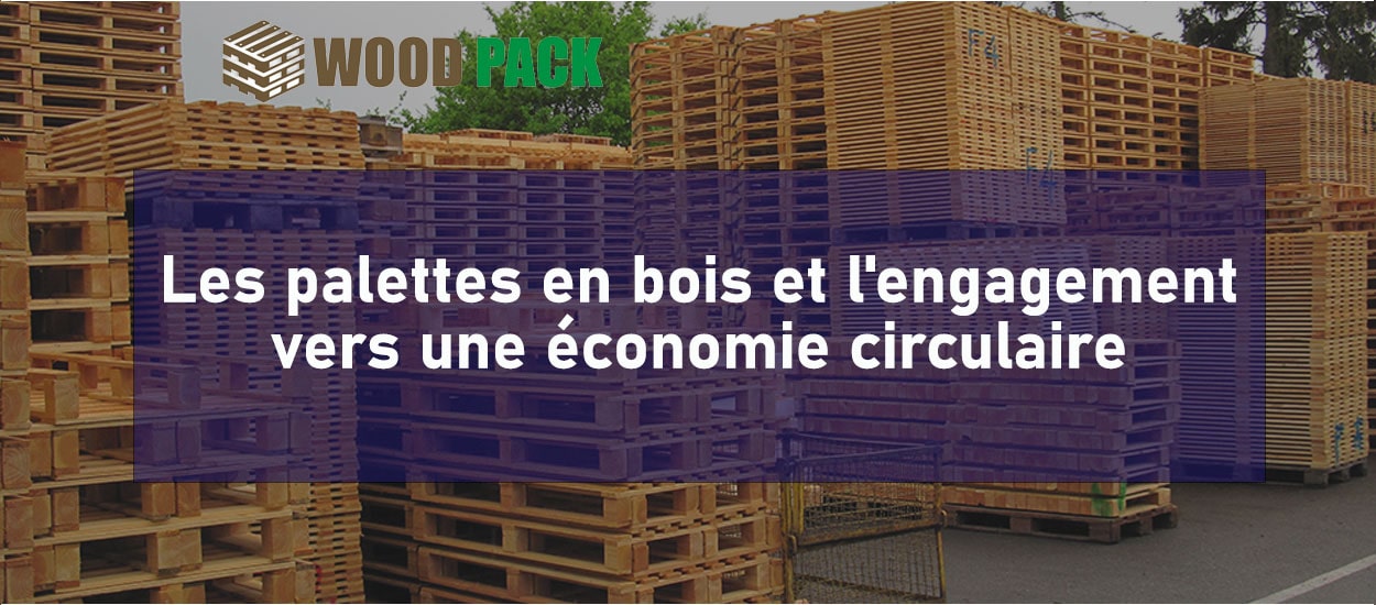 Les palettes en bois et l'engagement vers une économie circulaire