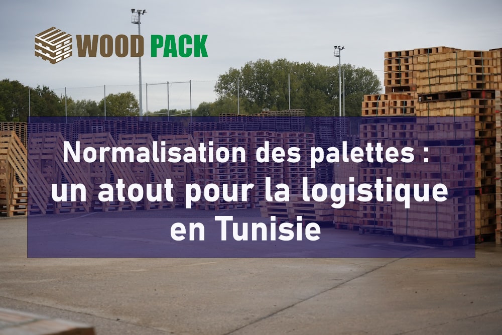 Normalisation des palettes un atout pour la logistique en Tunisie